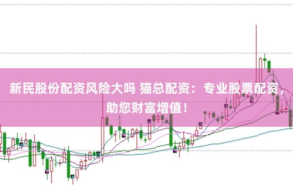 新民股份配资风险大吗 猫总配资:专业股票配资,助您财富增值!
