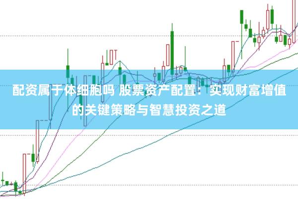 配资属于体细胞吗 股票资产配置：实现财富增值的关键策略与智慧投资之道