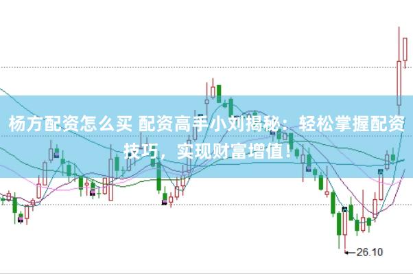 杨方配资怎么买 配资高手小刘揭秘:轻松掌握配资技巧,实现财富增值!