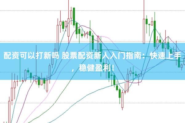 配资可以打新吗 股票配资新人入门指南:快速上手,稳健盈利!