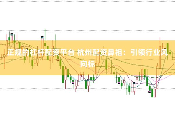 正规的杠杆配资平台 杭州配资鼻祖:引领行业风向标