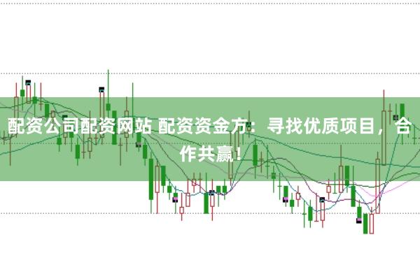 配资公司配资网站 配资资金方：寻找优质项目，合作共赢！