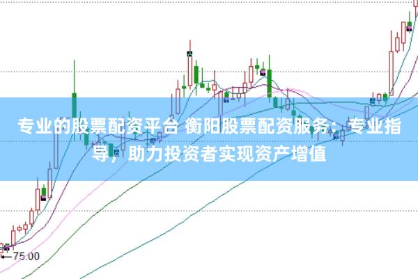 专业的股票配资平台 衡阳股票配资服务：专业指导，助力投资者实现资产增值