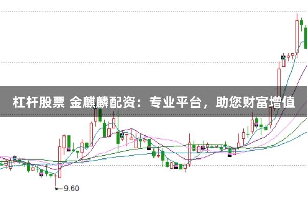 杠杆股票 金麒麟配资：专业平台，助您财富增值