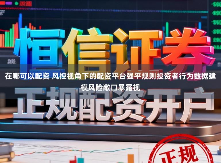 在哪可以配资 风控视角下的配资平台强平规则投资者行为数据建模风险敞口暴露视