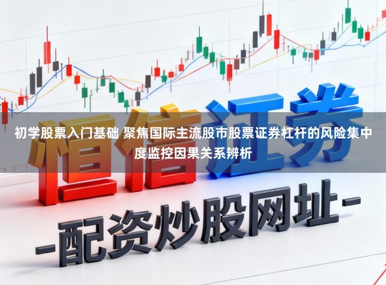 初学股票入门基础 聚焦国际主流股市股票证券杠杆的风险集中度监控因果关系辨析
