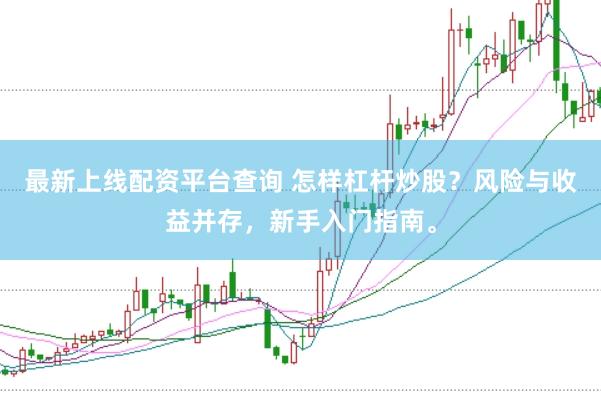 最新上线配资平台查询 怎样杠杆炒股？风险与收益并存，新手入门指南。