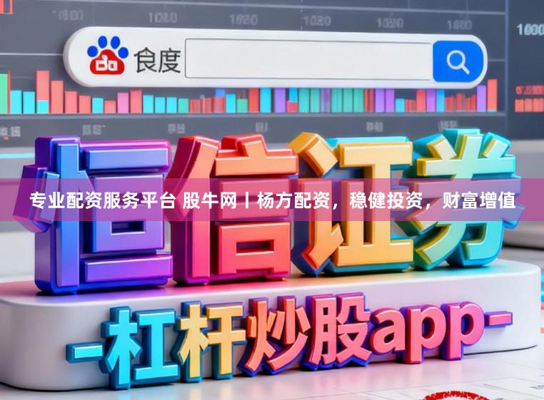 专业配资服务平台 股牛网丨杨方配资，稳健投资，财富增值