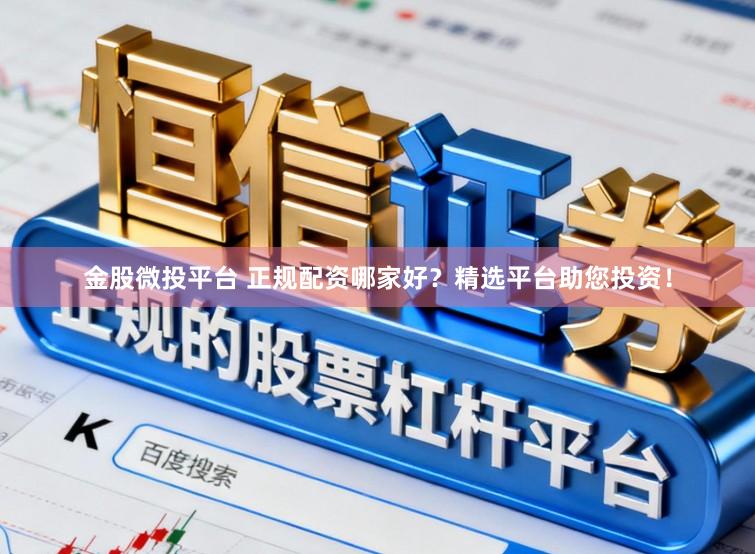 金股微投平台 正规配资哪家好？精选平台助您投资！
